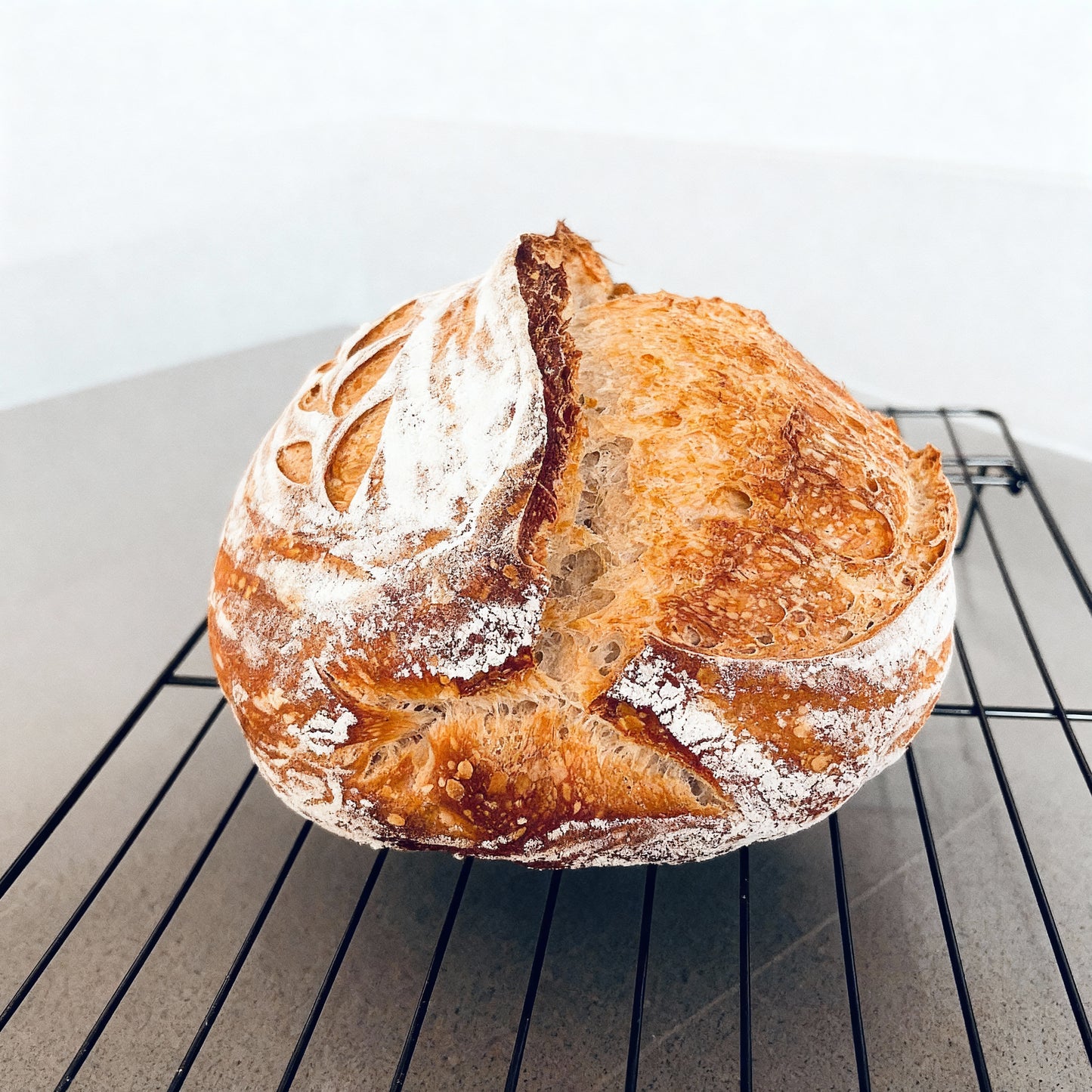 109+ Year Old Organic Transylvanian Sourdough Starter