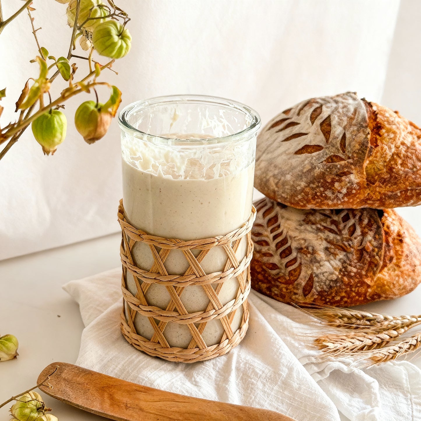 109+ Year Old Organic Transylvanian Sourdough Starter