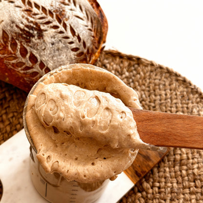 109+ Year Old Organic Transylvanian Sourdough Starter