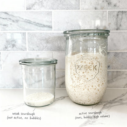 109+ Year Old Organic Transylvanian Sourdough Starter