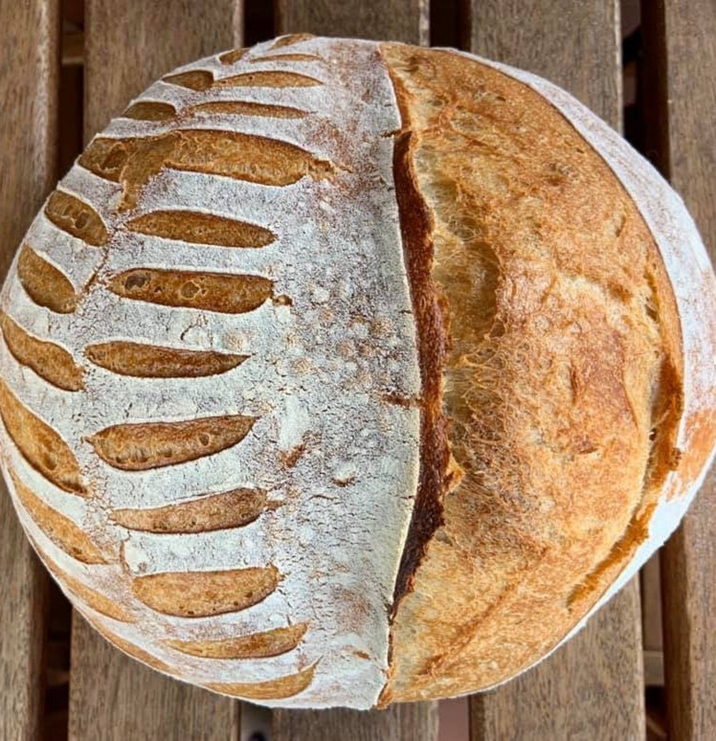 109+ Year Old Organic Transylvanian Sourdough Starter