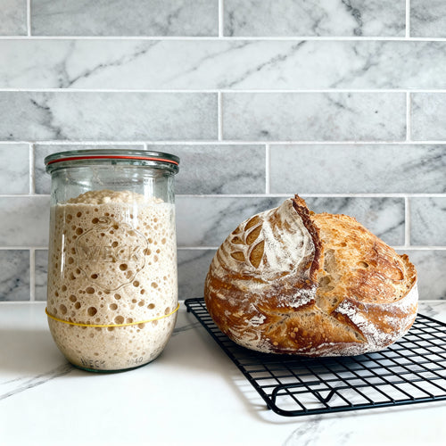 109+ Year Old Organic Transylvanian Sourdough Starter
